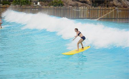 10 Typhoon Lagoon Surfer